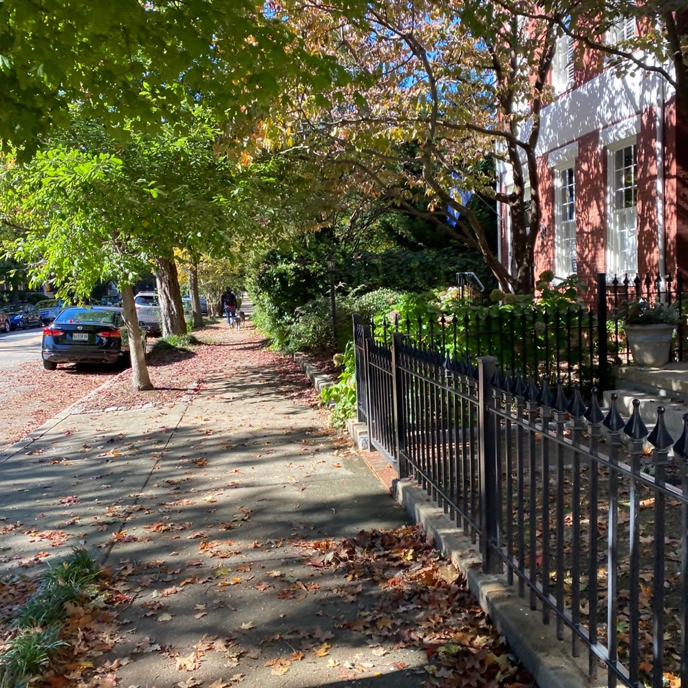 Meet your Posher, Bailey